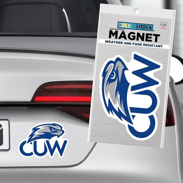 MAGNET 6X6 REG MSC/MULTI/    .
