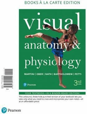 Visual Anatomy &amp; Physiology