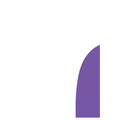 Global Health Systems
