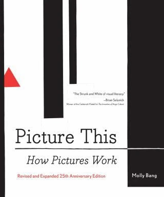 Picture This : How Pictures Work