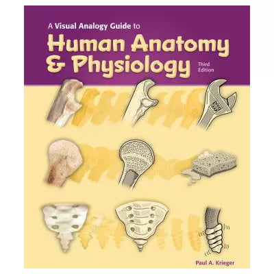 Visual Analogy Guide to Human Anatomy &amp; Physiology